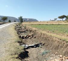 Roadside percolation pits capture run-off