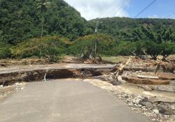 Erika’s handiwork in Dominica