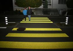 Zebra Crossing