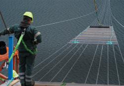 Norway's Hardanger Bridge