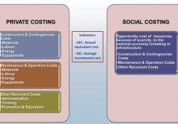 Private v. Social Costing