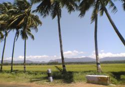 Tamil Nadu