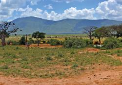 Kenya and Tanzania face challenges on key road projects 