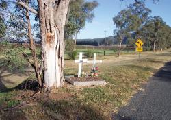 Graves of Car Crash Victims