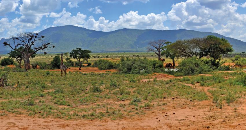 Kenya and Tanzania face challenges on key road projects 