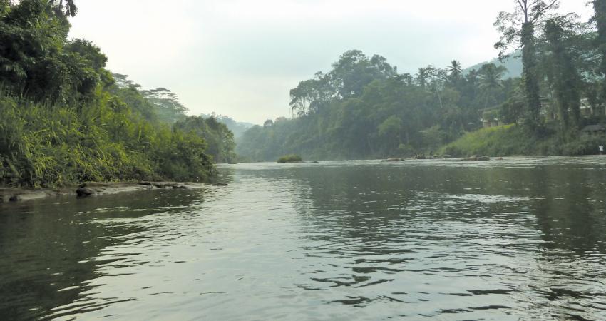 Kelani River Sri Lanka. Pic: Dunnock D