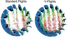 Standard and V-flights