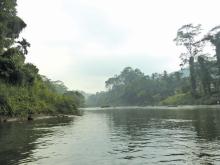 Kelani River Sri Lanka. Pic: Dunnock D