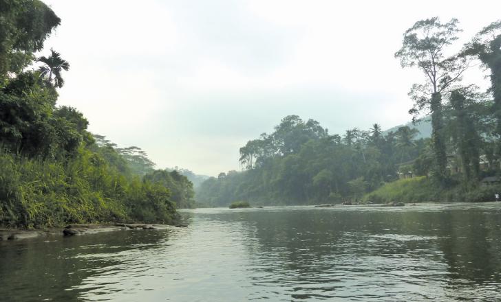 Kelani River Sri Lanka. Pic: Dunnock D